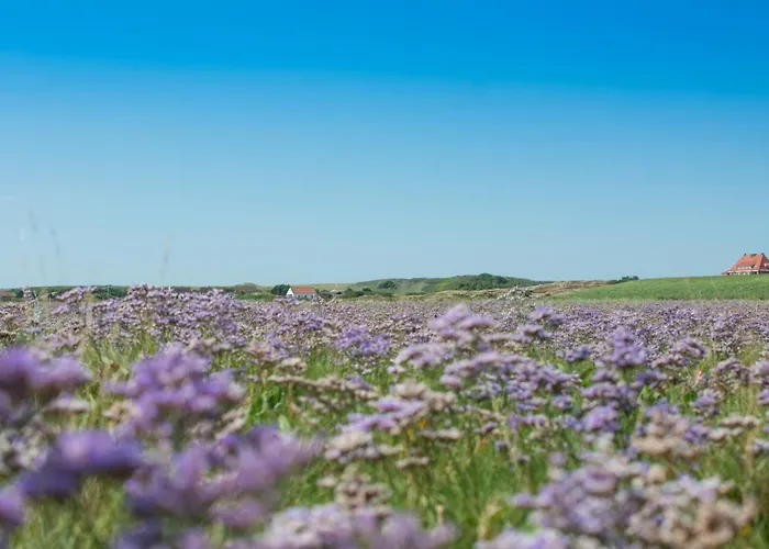 Strandhaus 7 Dg Апартаменты Шпикерог