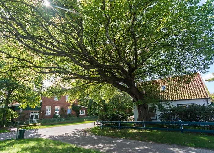 Strandhaus 7 Dg Апартаменты Шпикерог