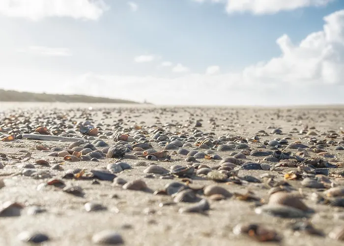 Апартаменты Strandhaus 7 Dg Шпикерог